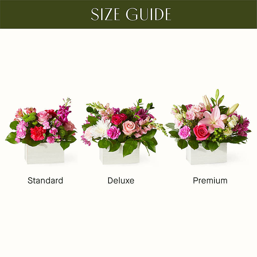 Sweetberry Box – A Florist Original – Peebles Flower Shop Llc, Peebles OH